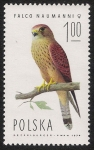Stamps Poland -  AVES: 2.211.002,00-Falco naumanni hembra