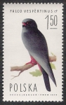 Stamps : Europe : Poland :  AVES: 2.211.003,00-Falco vespertinus macho