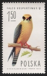 Stamps : Europe : Poland :  AVES: 2.211.004,00-Falco vespertinus hembra