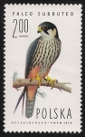 Stamps : Europe : Poland :  AVES: 2.211.005,00-Falco subbuteo