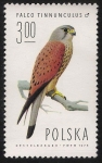 Stamps : Europe : Poland :  AVES: 2.211.006,00-Falco tinnunculus macho