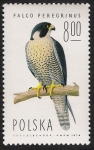Stamps : Europe : Poland :  AVES: 2.211.008,00-Falco peregrinus