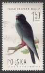 Stamps Poland -  AVES: 2.211.003,01-Falco vespertinus macho -Sc.2076