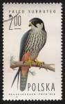 Stamps : Europe : Poland :  AVES: 2.211.005,01-Falco subbuteo -Sc.2078