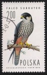 Stamps : Europe : Poland :  AVES: 2.211.005,02-Falco subbuteo -Sc.2078