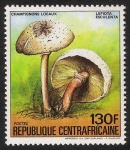 Stamps Central African Republic -  SETAS-HONGOS: 1.127.014,00-Lepiota esculenta