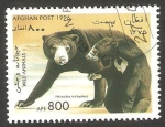 Stamps Asia - Afghanistan -  fauna osos