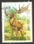 Stamps Afghanistan -  fauna, alce