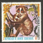 Stamps Equatorial Guinea -  protección de la naturaleza, fauna, lori