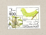 Stamps Afghanistan -  Sphinx ligustri