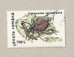 Sellos de Europa - Rumania -  Calosoma sycophanta