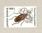 Stamps Romania -  Purpuricanus kaehieri
