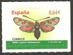 Stamps Spain -  mariposa  zygaena rhadamanthus