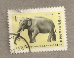 Stamps Bulgaria -  Elefante