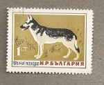Sellos de Europa - Bulgaria -  Lobo