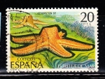 Stamps Spain -  E2534 Estrella de mar (275)