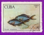 Stamps Cuba -  Fauna de la cienaga de Zapata