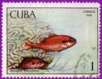 Sellos del Mundo : America : Cuba : Fauna de la cienaga de Zapata