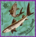 Stamps : America : El_Salvador :  Galeocerdo cuvieri