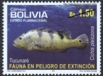 Stamps Bolivia -  Fauna en peligro de extinción - Peces