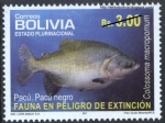 Stamps America - Bolivia -  Fauna en peligro de extinción - Peces
