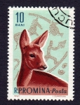 Stamps Romania -  CERVATILLO