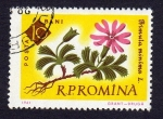 Stamps : Europe : Romania :  RIMUNA MINIMA L.