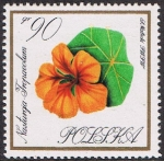 Stamps Poland -  FLORES DEL JARDÍN