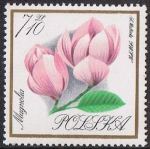 Stamps Poland -  FLORES DEL JARDÍN