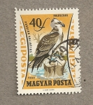 Stamps Hungary -  Buitre