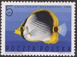 Sellos del Mundo : Europe : Poland : PECES EXÓTICOS