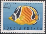 Stamps Poland -  PECES EXÓTICOS