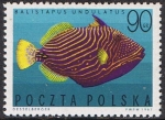 Stamps Poland -  PECES EXÓTICOS