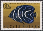 Stamps : Europe : Poland :  PECES EXÓTICOS