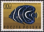 Sellos de Europa - Polonia -  PECES EXÓTICOS