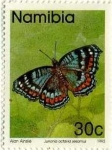 Stamps Africa - Namibia -  