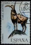 Stamps Spain -  Cabra montés / Capra pyrenaica