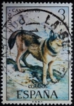 Stamps : Europe : Spain :  Lobo / Canis lupus