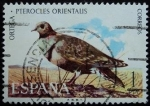 Stamps : Europe : Spain :  Ortega / Pterocles orientalis
