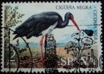 Stamps : Europe : Spain :  Cigüeña negra / Ciconia nigra