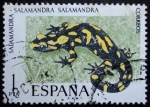 Stamps Spain -  Salamandra / Salamandra salamandra