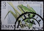 Sellos de Europa - Espa�a -  Ranita de San Antonio / Hyla arborea