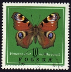 Sellos de Europa - Polonia -  Mariposa Vanessa