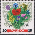 Stamps Poland -  FLORES SILVESTRES