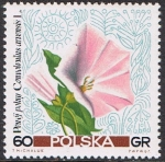 Stamps Poland -  FLORES SILVESTRES
