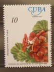 Stamps Cuba -  centenario del nacimiento de dr. juan tomas roig