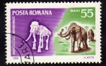 Stamps : Europe : Romania :  Achidiscodok  Meridionalis