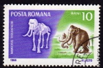 Stamps Romania -  Mamuthus  Trogontherii