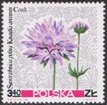 Stamps Poland -  FLORES SILVESTRES