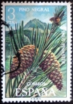Stamps Spain -  Pino negral / Pinus pinaster
